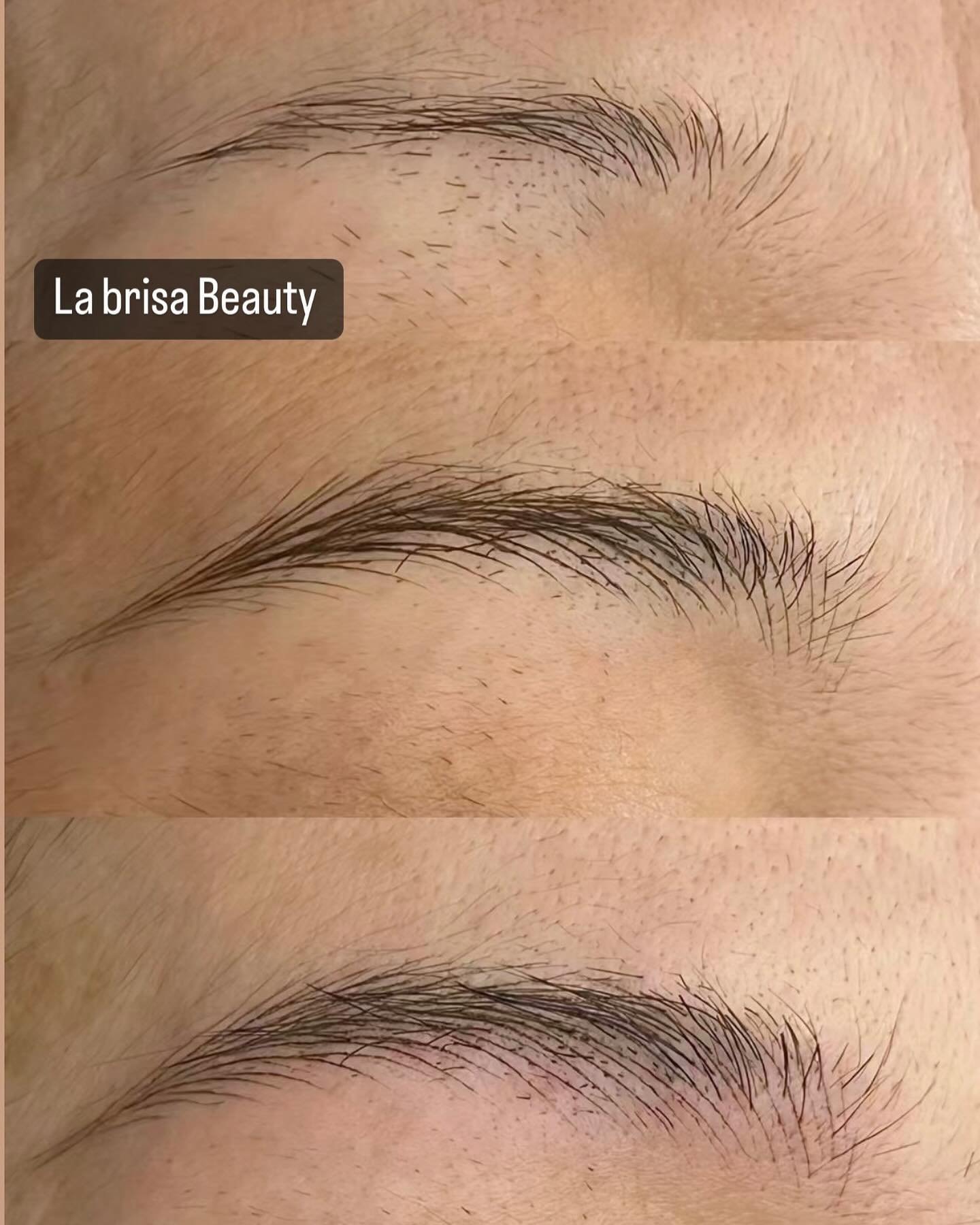 SG Eyebrows
