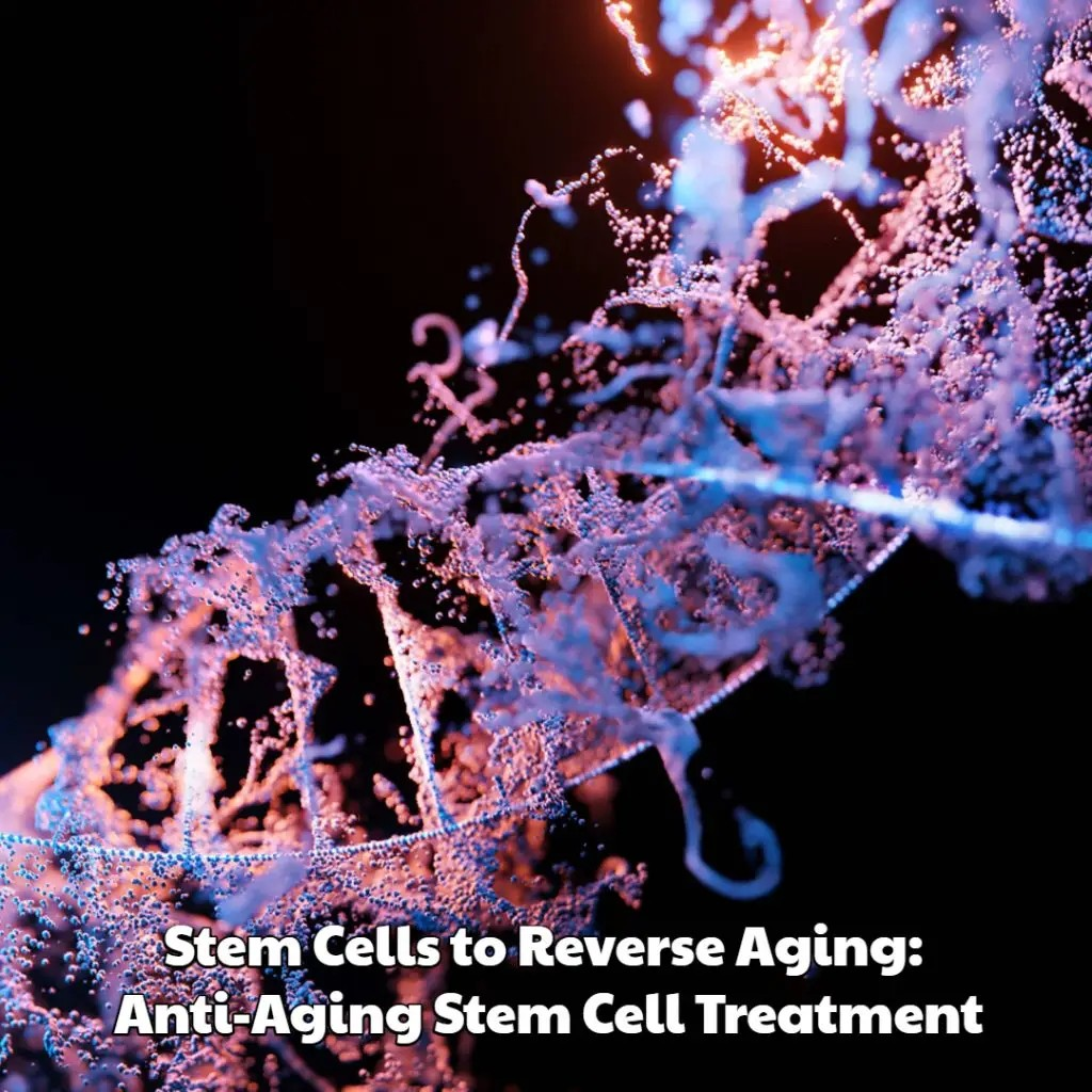 Stem Cell