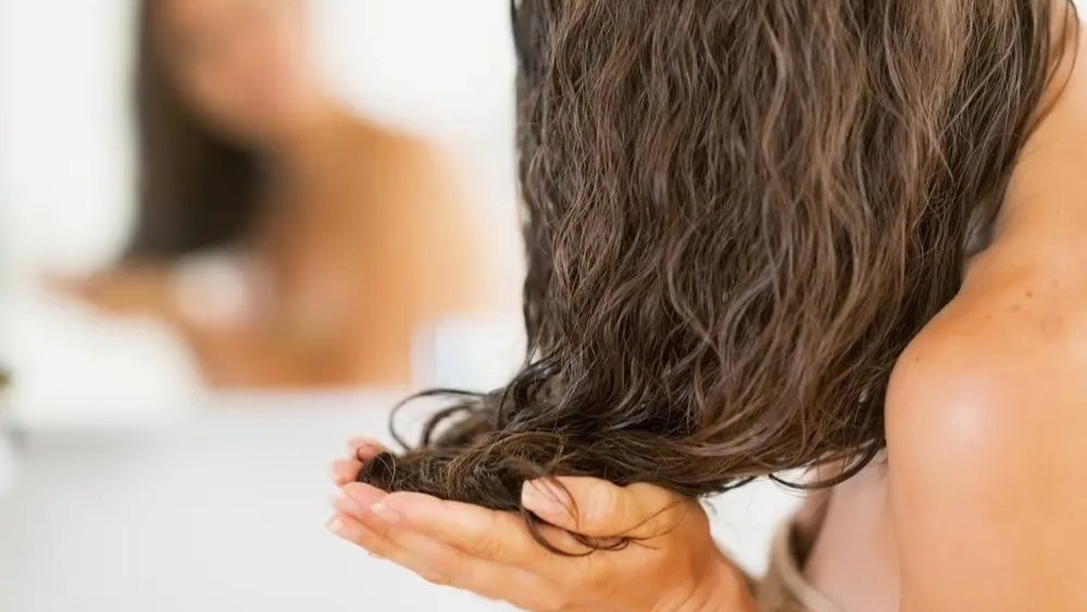Top Hair Oil Recommendations in 2025｜Repair, Smooth, and Anti-Frizz All in One! Expert Picks of 5 Bestsellers